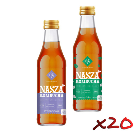 Nasza Kombucha Imbirowa & Marokańska Mięta 250ml x20szt