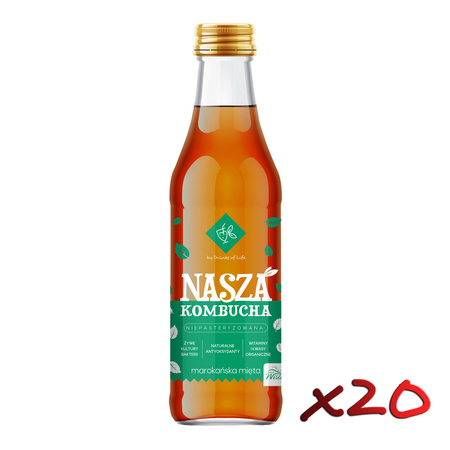 Nasza Kombucha Marokańska Mięta 250ml x20szt