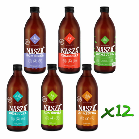 Nasza Kombucha 500ml x12szt - MIX nr1!