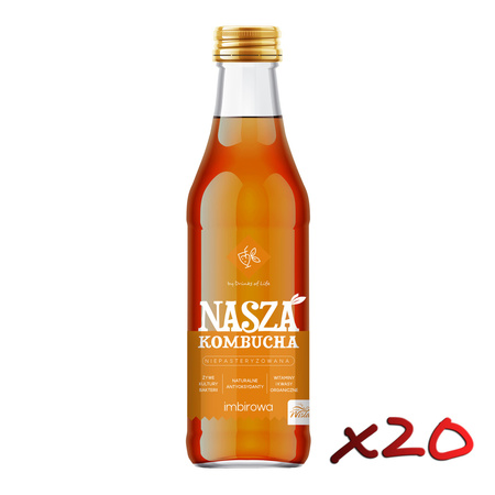 Nasza Kombucha Imbirowa 250ml x20szt