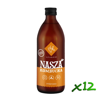 Nasza Kombucha Imbirowa 500ml x12szt