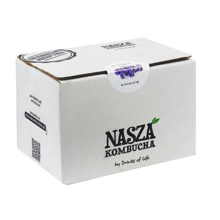 Nasza Kombucha Zimowa 500ml x12szt