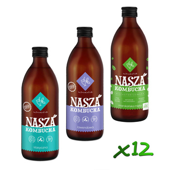 Nasza Kombucha 500ml x12szt (KLASYCZNA + LAWENDA + MAR. MIĘTA)