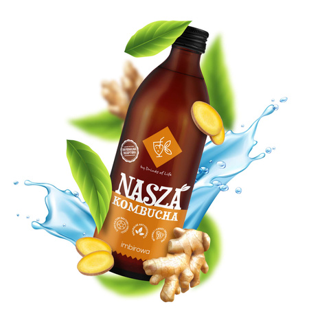 Nasza Kombucha Imbirowa 500ml x12szt