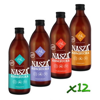 Nasza Kombucha 500ml x12szt - MIX nr2!