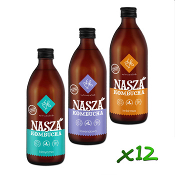 Nasza Kombucha 500ml x12szt - MIX nr5!