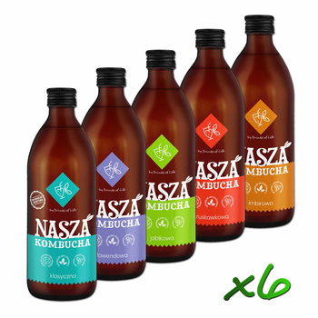 Nasza Kombucha 500ml x6szt - MIX nr1!