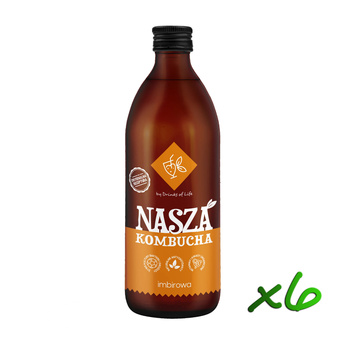 Nasza Kombucha Imbirowa 500ml x6szt